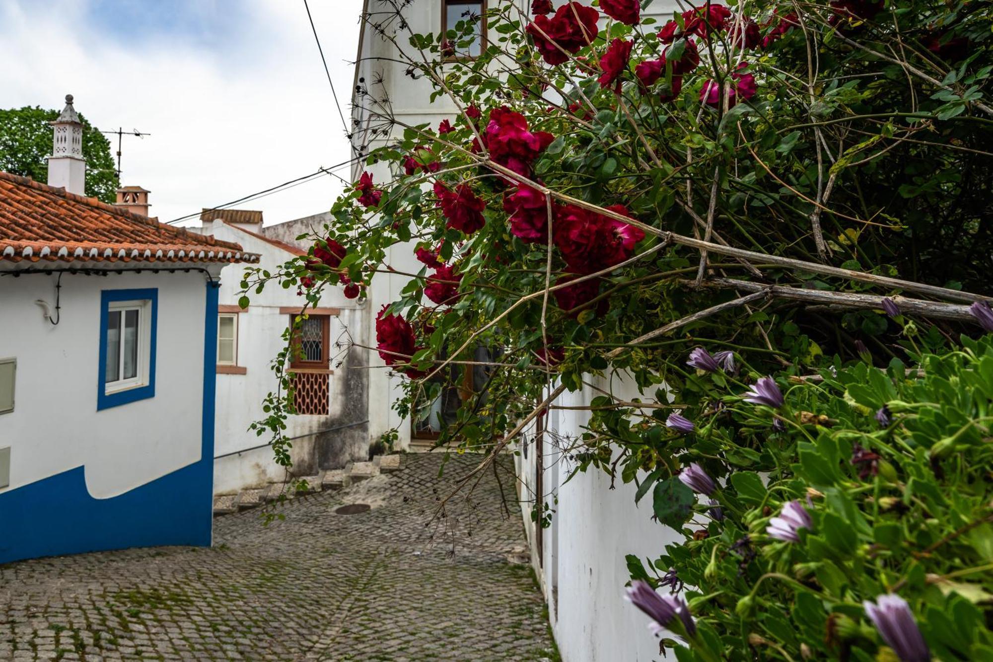 Villa Pinto Mar Aljezur Exterior photo